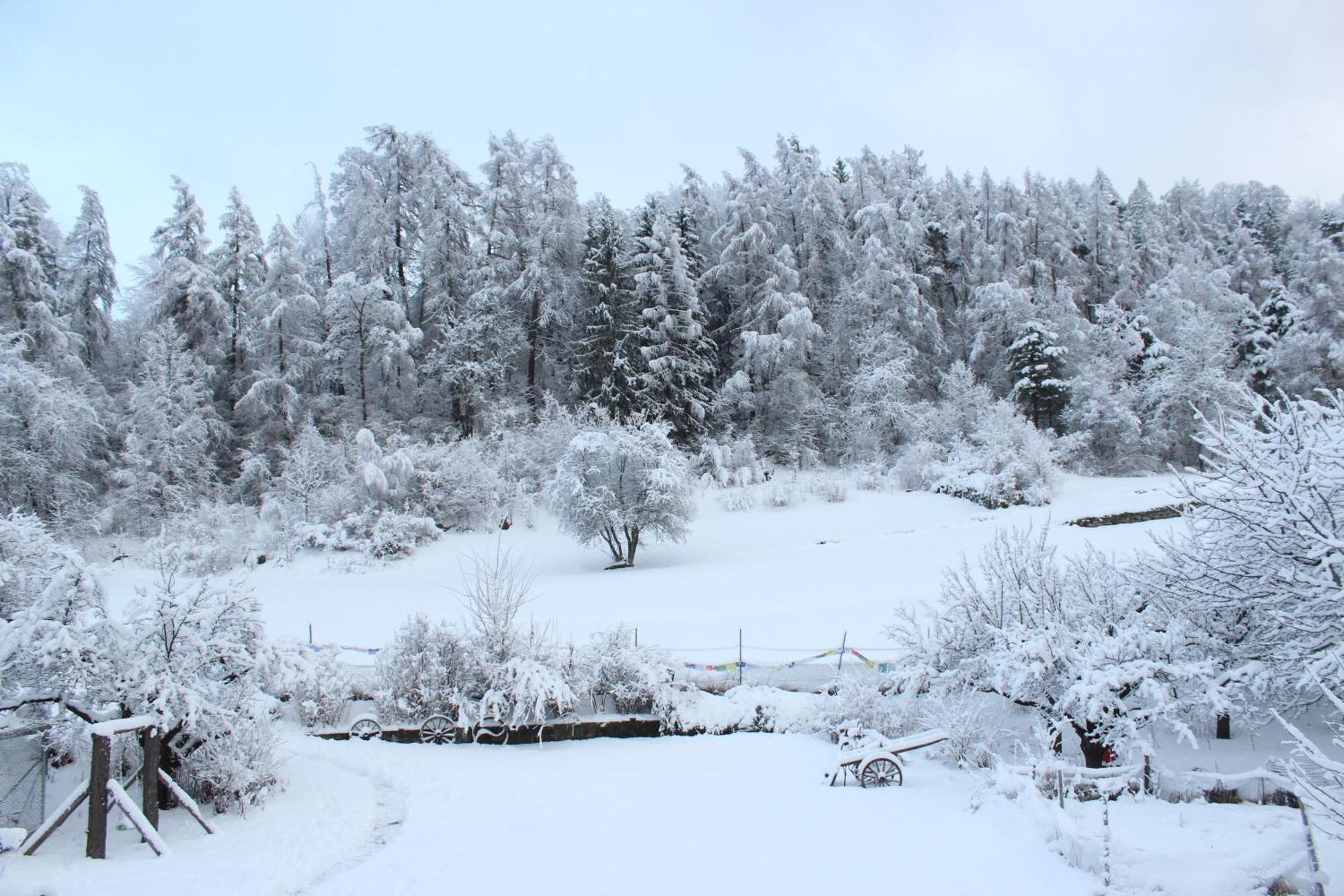 Domaine Bellevie BnB Vex Esterno foto