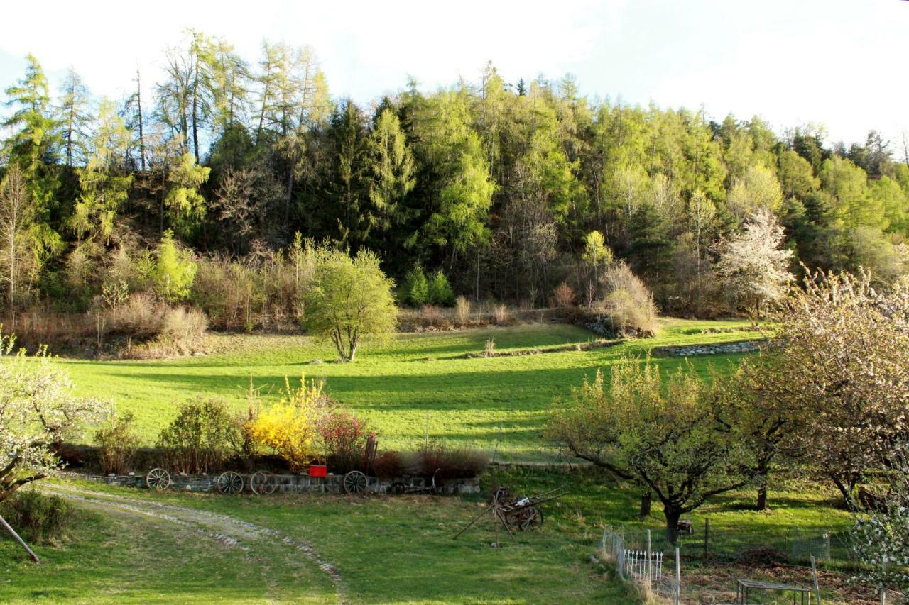 Domaine Bellevie BnB Vex Esterno foto